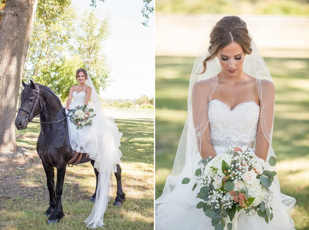 bride with long veil sitting on black Friesian horse