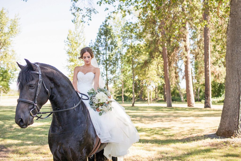 bride in dress sitting on black Friesian horse