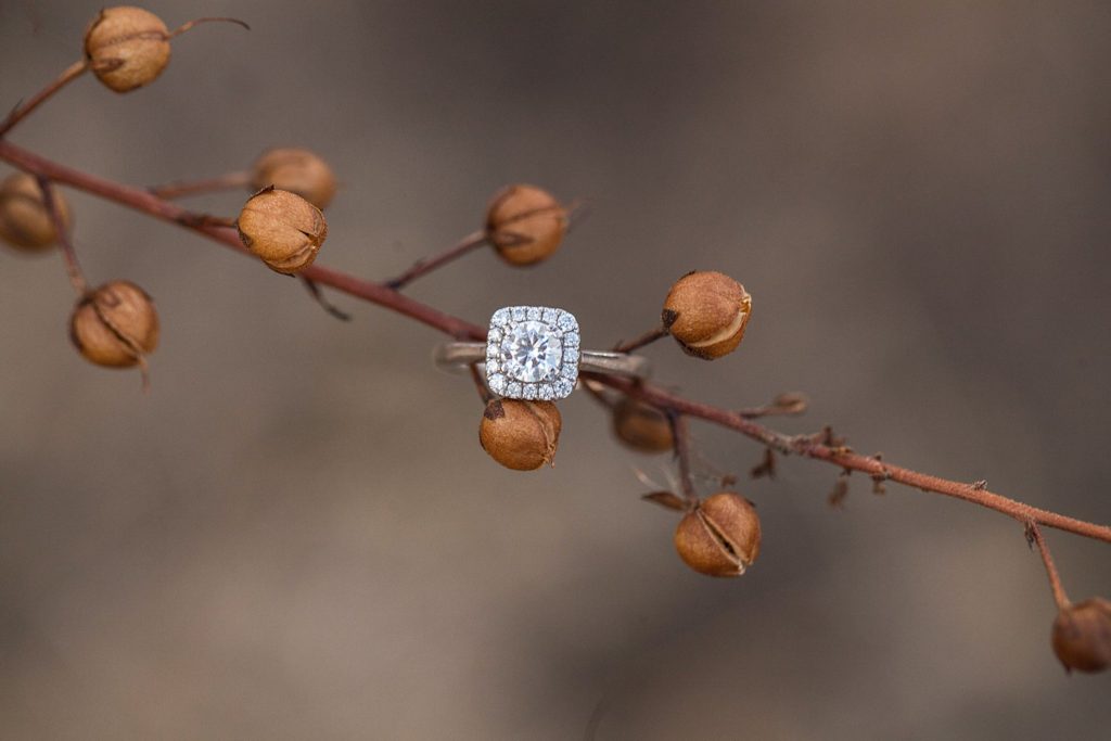 diamond engagement ring on tree branch