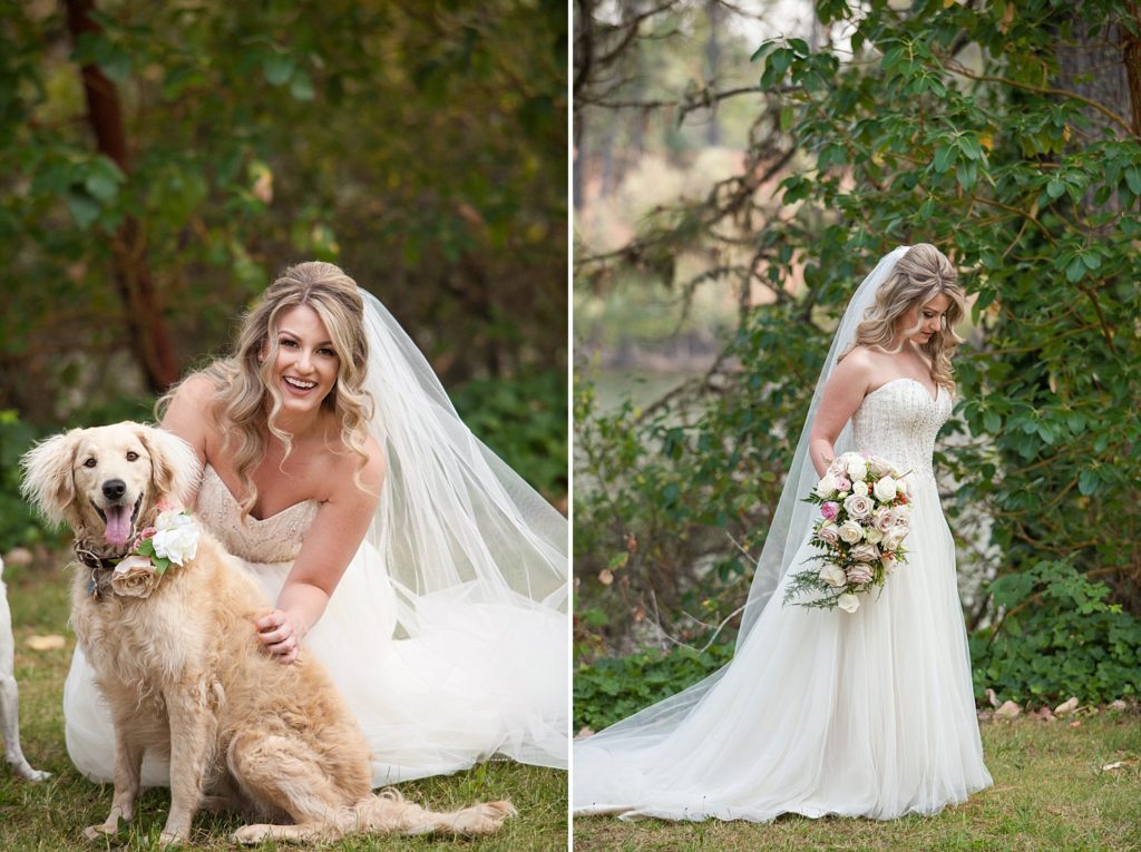 bride with cute dog wearing flower collar