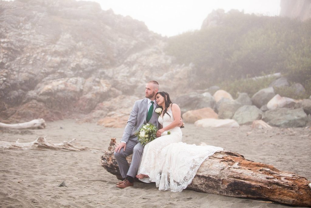 bride and groom sitting on driftwood on the beach