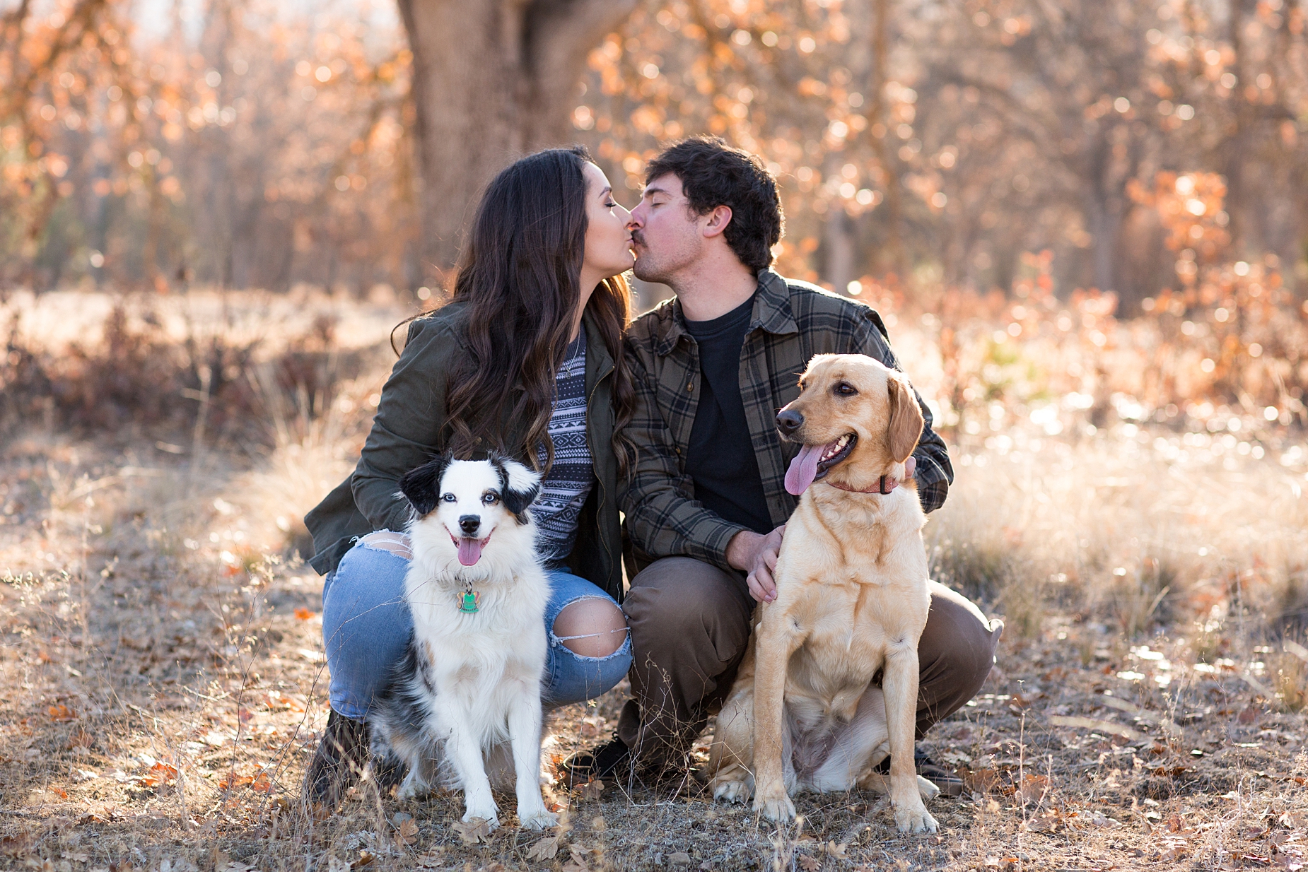 Yreka photoshoot with dogs