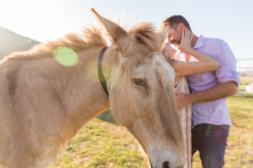 engagement photo with horse