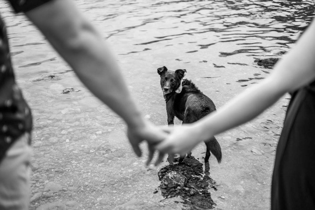 engagement photo with dog