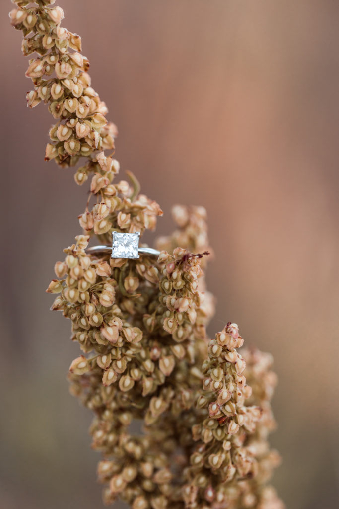 Engagement ring on a plant