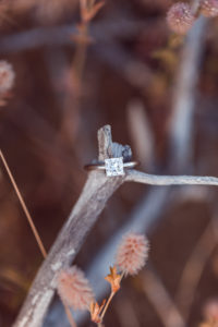 Engagement ring on branch